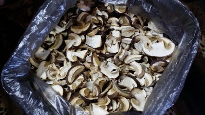 Продам Сухие Белые грибы Волчиха Алтайский край сезон 2020