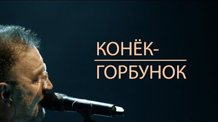 ДДТ "Конёк-Горбунок" (концерт "Прозрачный")