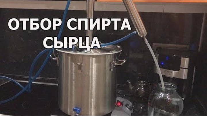 Сколько спирта сырца из браги