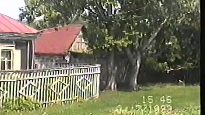 Н- В -ЕЛГА, ЕЛАНЬ -ЧИШМА , КУКА, НИКОЛАЕВЫ 1999г
