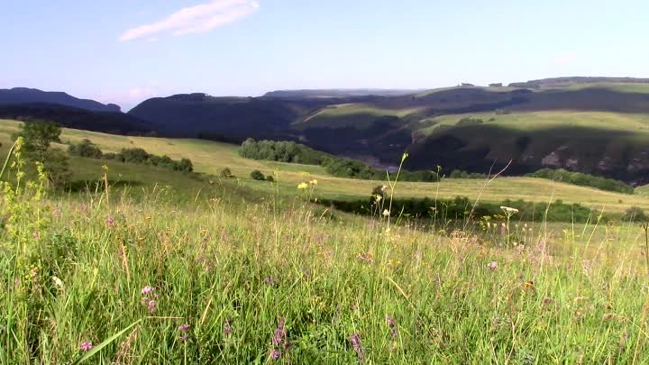 Пять минут тишины.  Окрестности хутора Ильич, Краснодарский край, Отрадненский район. Вид на реку Уруп. Россия.