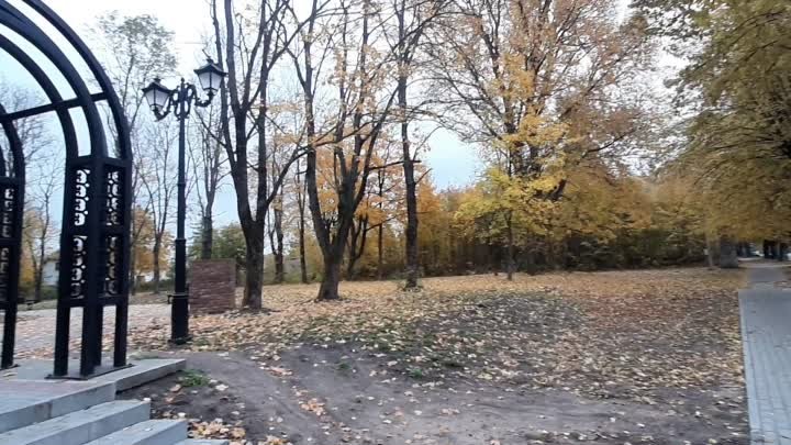 27.10.2020 Не много осенней красоты в ленту🍁🍁🍁