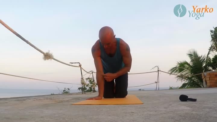 Йога для начинающих Маюрасана видео различных вариантов сложности