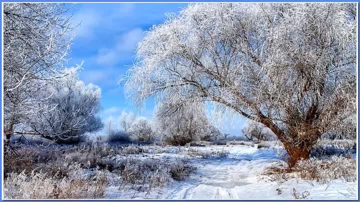 Нежность. Мелодия моей души.