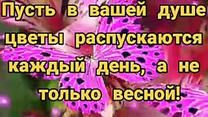 🌷🦋🌷ПУСТЬ ВАШЕЙ ДУШЕ  ЦВЕТЫ  РАСПУСКАЮТСЯ   КАЖДЫЙ  ДЕНЬ,  А НЕ  Т ...