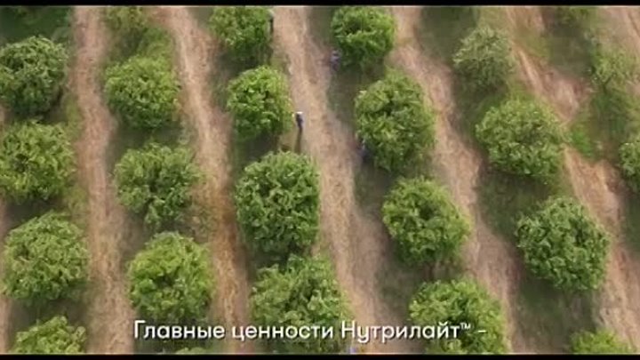 nutriliterussia_20201102_182051.mp4