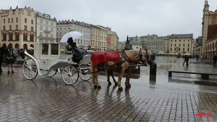 Королевский город Краков рыночная площадь
