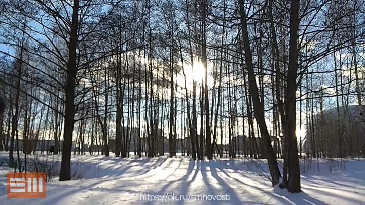 Солнечный день на зимней реке! Красота природы