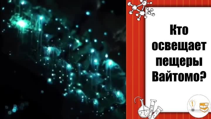 Кто освещает пещеры Вайтомо