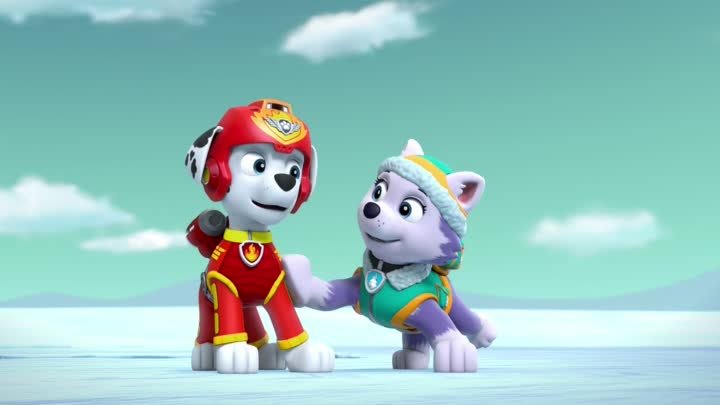 Marshall And Everest Enjoy Some Tag - PAW Patrol