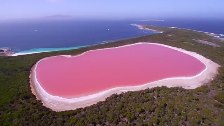 Розовое озеро Хиллер, Австралия.