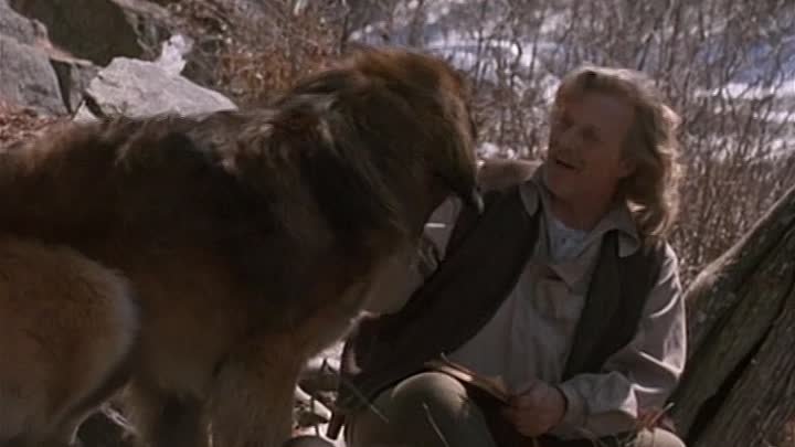 The Call Of The Wild Dog Of The Yukon 1997 Rarefilmm The Cave Of Forgotten Films