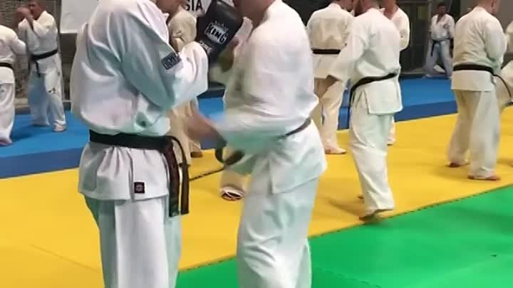 #kyokushin