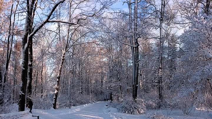 ЦПКО 16.01.2021