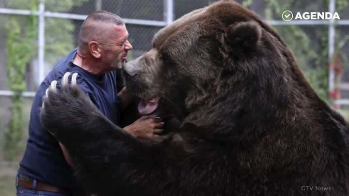 Джим и Джимбо  крепкая дружба человека и медведя