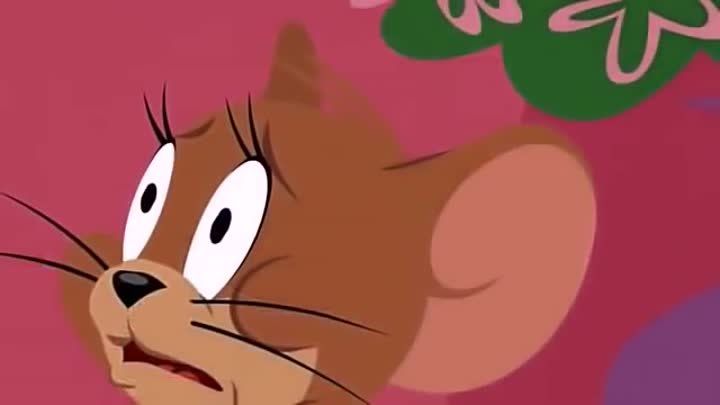 Tom and Jerry -- Tom and Jerry 2015 --  Angry Tom Cat