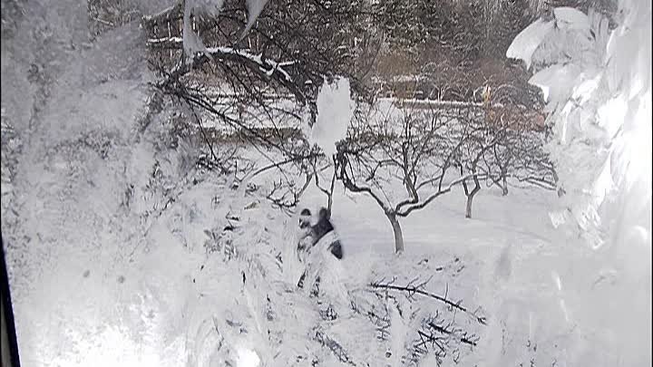 Колье для снежной бабы. 2007 год