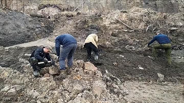 Охотники за ископаемыми в поисках Зверя (Наутилус Помпилиус)