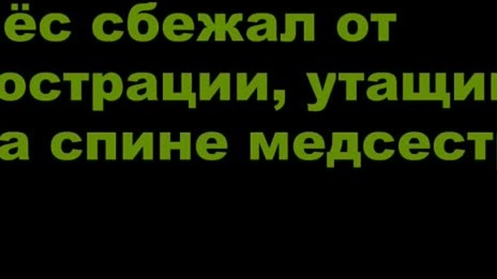 Пёс сбежал из ветеринарной клиники, утащив на спине медсестру. Январ ...