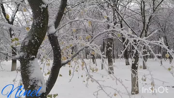 С добрым старым Новым годом!!!