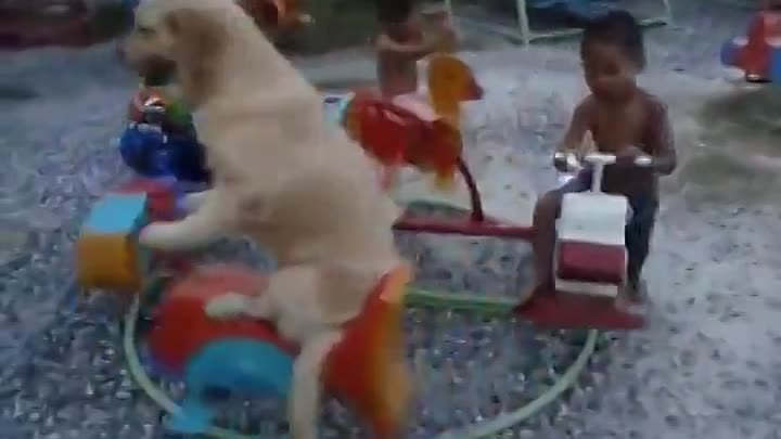 Собачка катает детей на качелях
