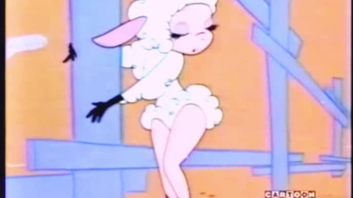 Droopy Sheep Wrecked (1958) On Cartoon Network 1998 VHS