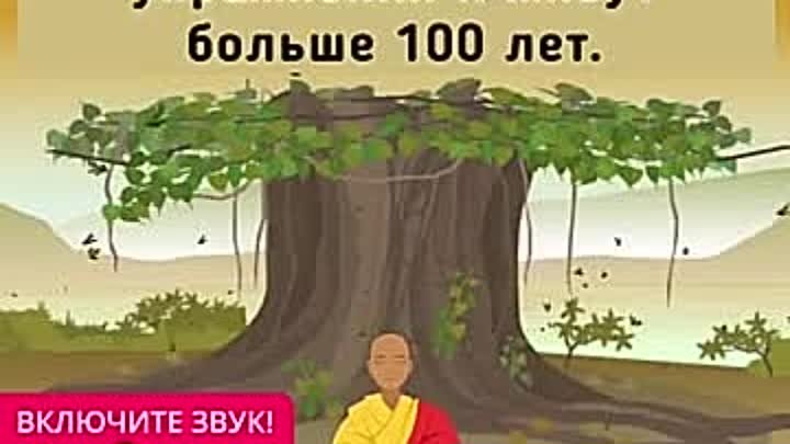 Простые упражнения, которые помогают тибетским монахам жить до 100 лет!