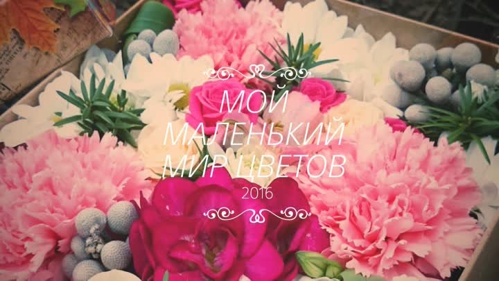 Мои милые создания 