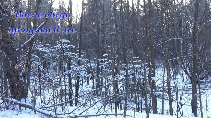 По свежему снегу босиком и прогулка в лес. 27.01.2021г