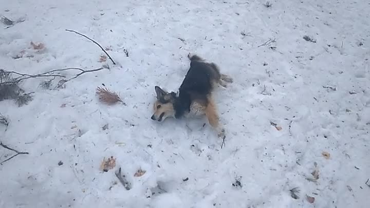 Дэйв, классный парень!