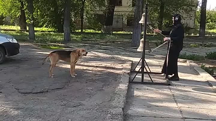 Каждое дыхание хвалит Господа.