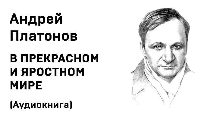 Следователь в прекрасном и яростном мире