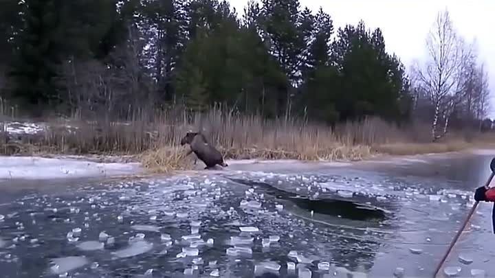 ❁♥°Трогательно ❁♥° (Подпишись - для души...)