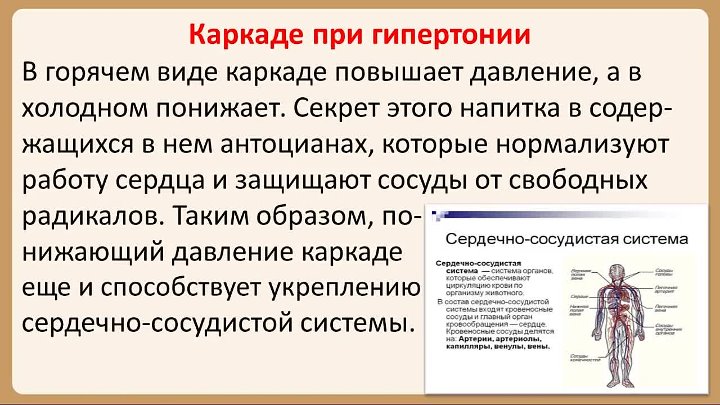 Пить воду при гипертонии. Каркаде чай повышает или понижает давление. Чай каркаде повышает или понижает давление горячий или холодный. Холодный каркаде повышает или понижает давление. Чай каркаде снижает давление холодный или горячий.