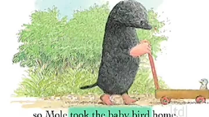 The Mole and the Baby Bird