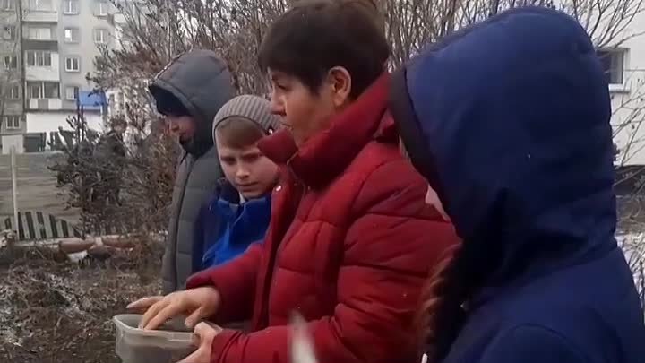 Школьники высаживают семена Валерия Железова