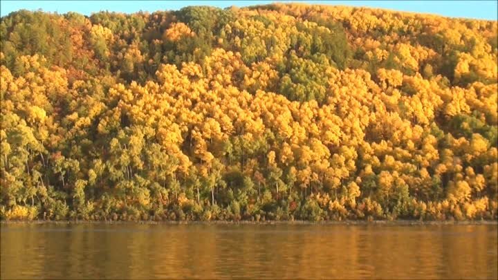 золотая осень на амуре