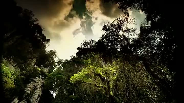 Самое красивое видео о природе