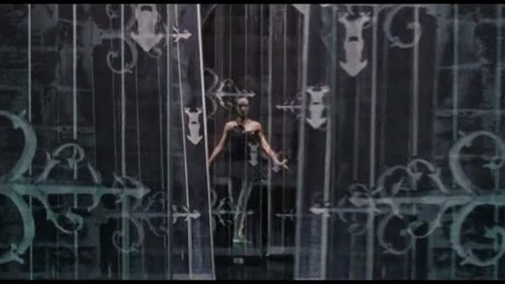 Чёрный лебедь _ Black Swan (2011