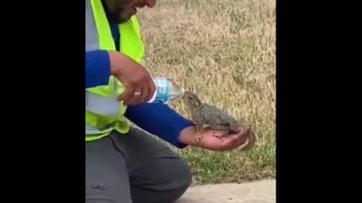 Не прошел мимо, напоил водичкой