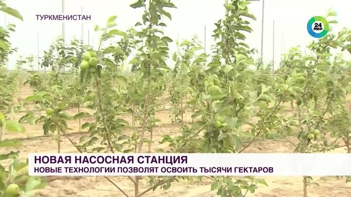 Новая насосная система в Туркменистане позволит освоить тысячи гектаров