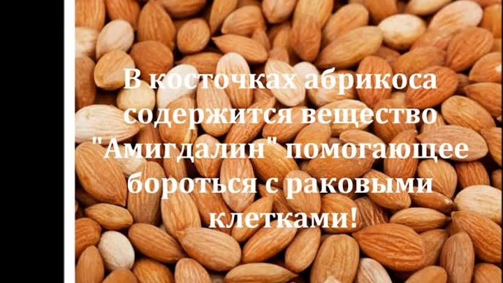 Урбеч паста из семян или орехов. Самый полезный продукт Дагестана.