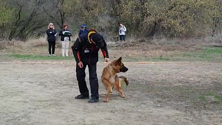 Зависть Богов Симона 