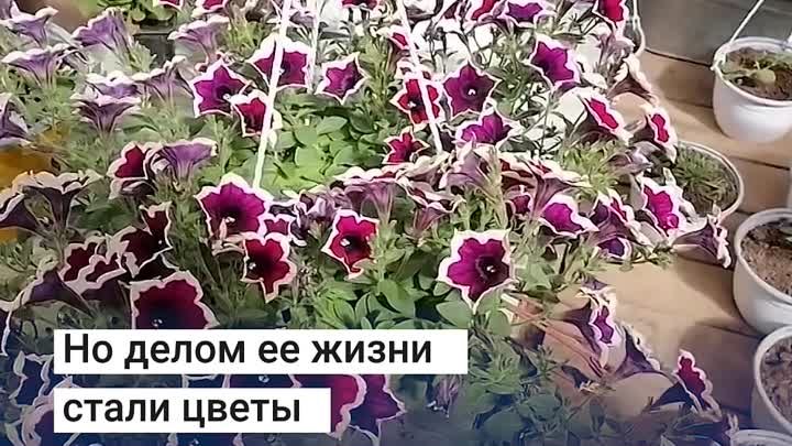 Наталью Мазунину знают цветоводы по всей России