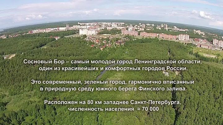 Сосновый бор ленинградская область погода на месяц. Город Сосновый Бор Ленинградская область. Сосновый Бор символы города. Численность населения Сосновый Бор Ленинградская область. Флаг города Сосновый Бор Ленинградской области.