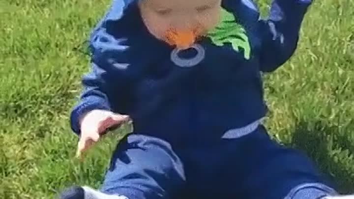 Реакция детей, которые первый раз видят траву