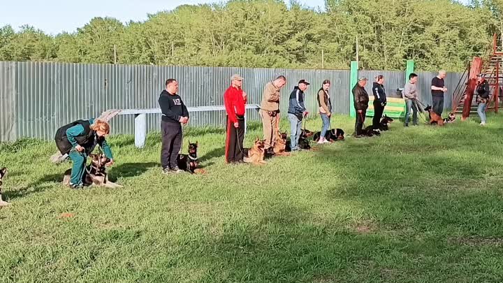 Наши тренировки 🤗