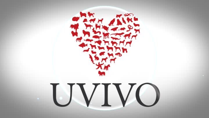 Uvivo HD Ready