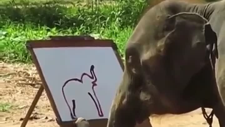 Слоненок - художник