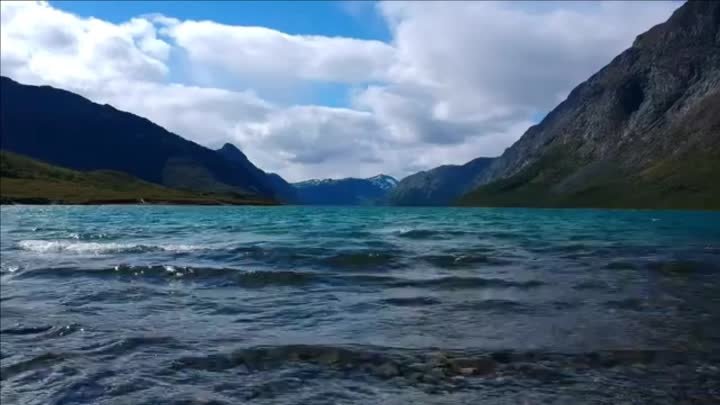 "Два берега". Елена Бажанова.